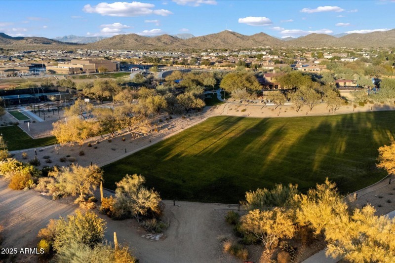 Sonoran Foothills