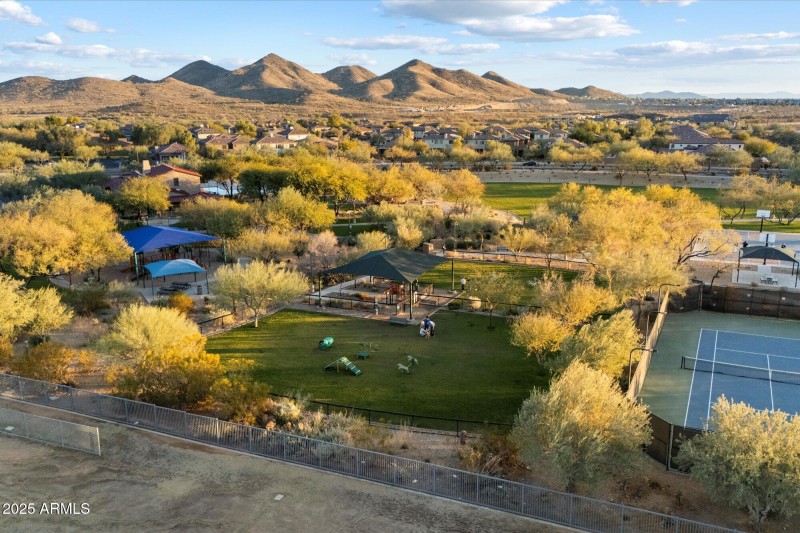 Sonoran Foothills