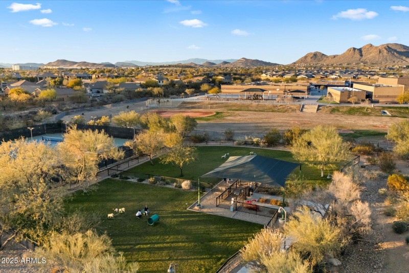 Sonoran Foothills