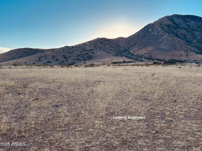 76C98BBA-6FA6-4646-90DB-16E7D9835F55_1_2