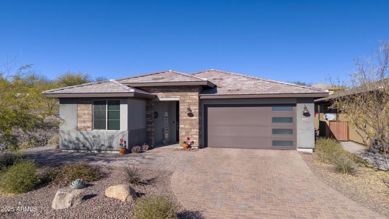 4610 Cactus Wren00001
