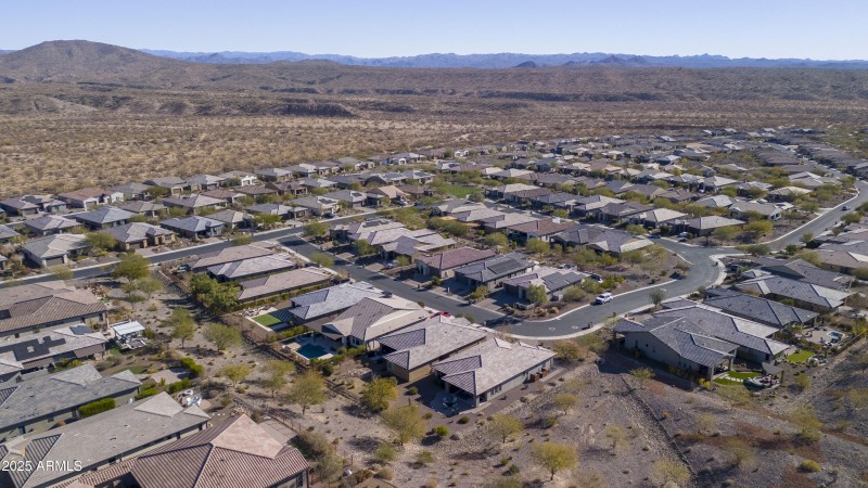 4610 Cactus Wren00003