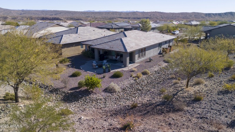4610 Cactus Wren00005