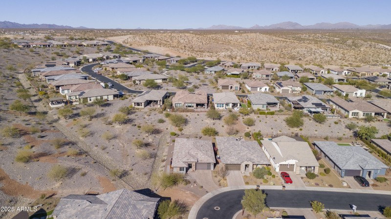 4610 Cactus Wren00006