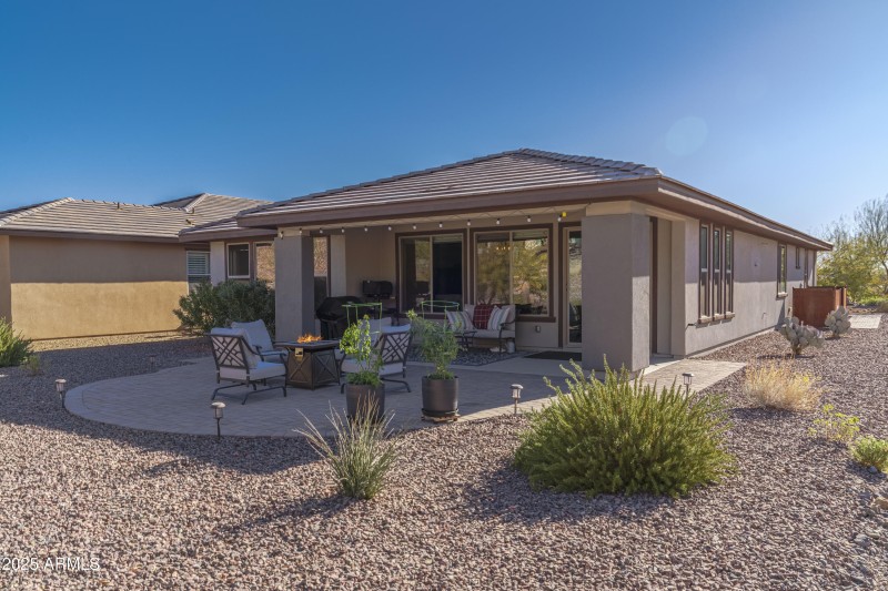 4610 Cactus Wren00029
