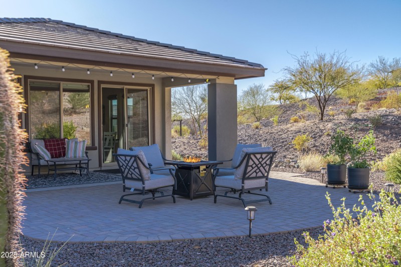 4610 Cactus Wren00031