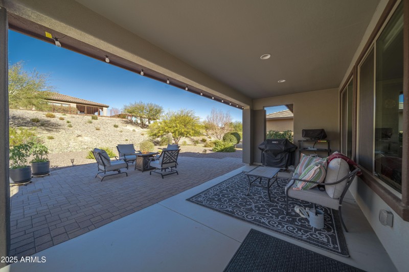 4610 Cactus Wren00032