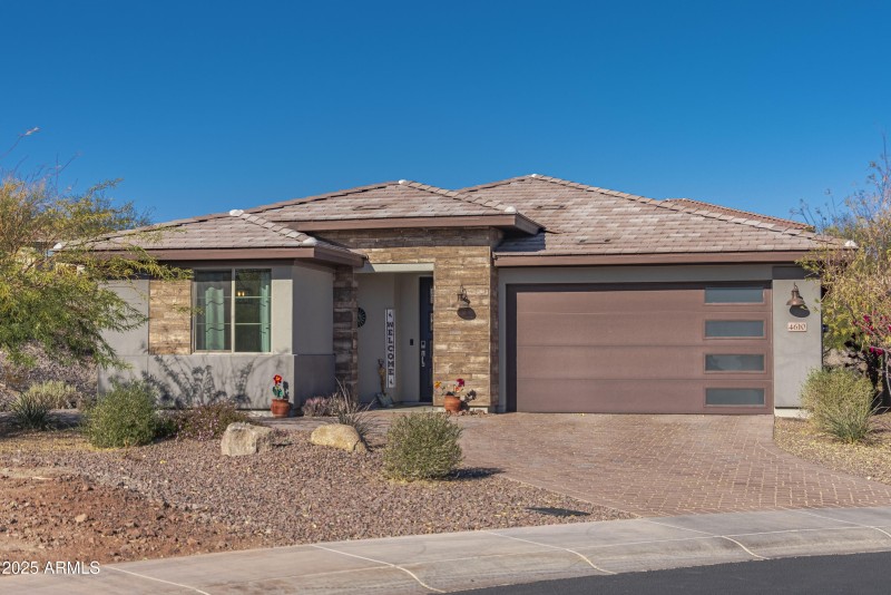 4610 Cactus Wren00035