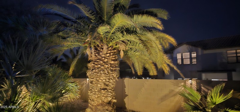57 Night Shot