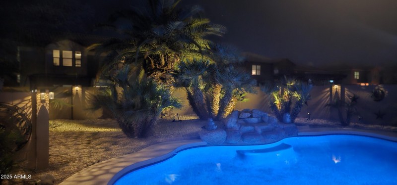 64 Night Shot