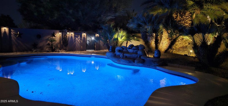 65 Night Shot