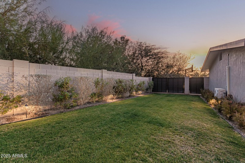 Backyard View X