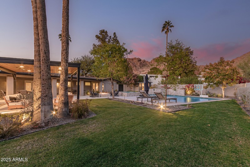 Backyard View T
