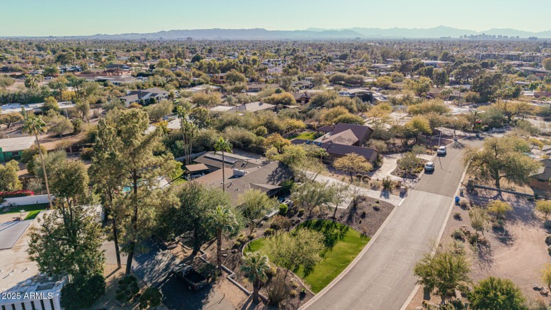 Aerial View I