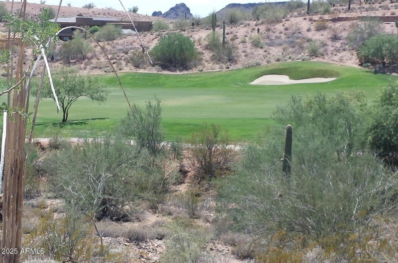 View of Fairway (1)