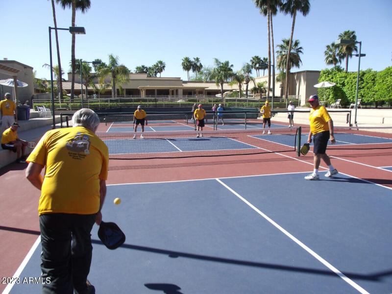 WBV Pickleball