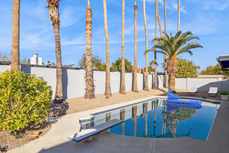 Backyard Pool with Palm Trees
