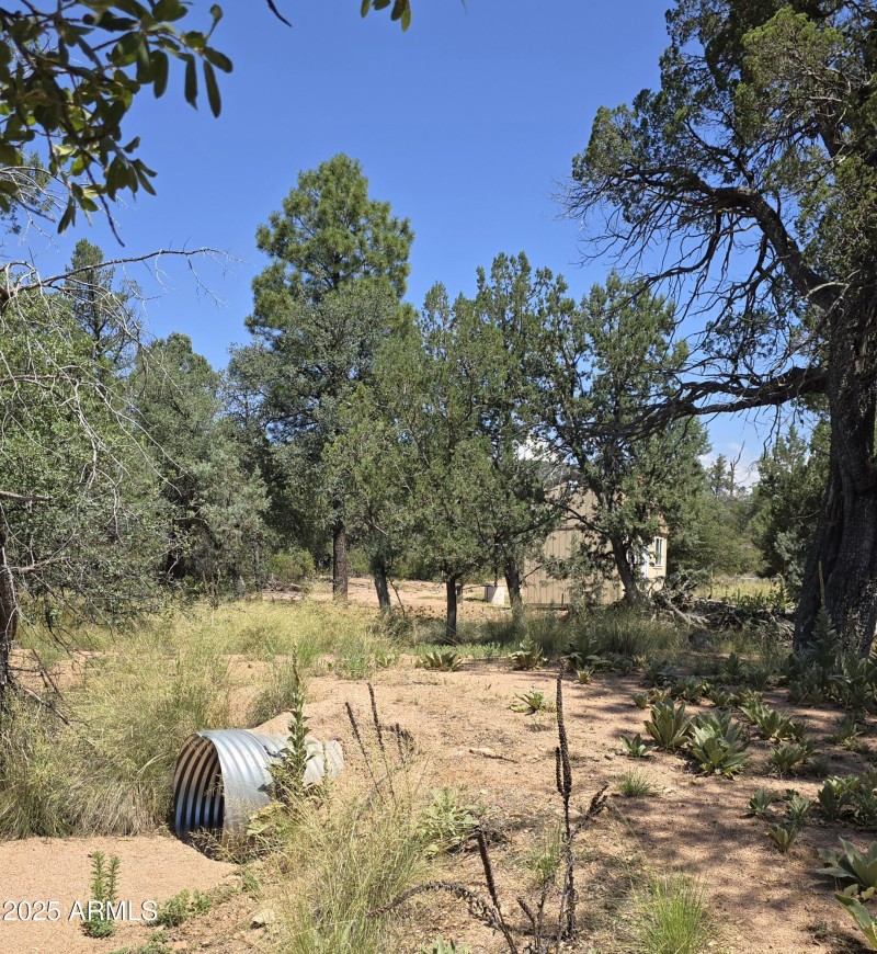 Culvert under driveway S side