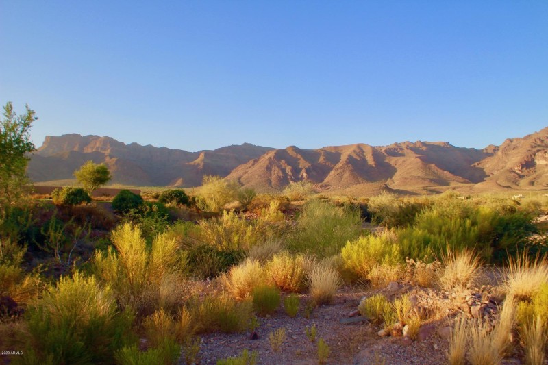 Canyon View 8