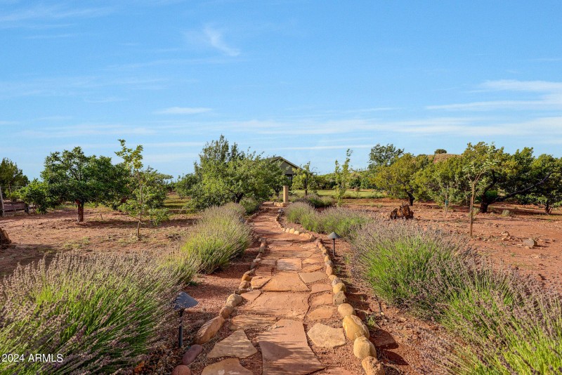 Endless Opportunities