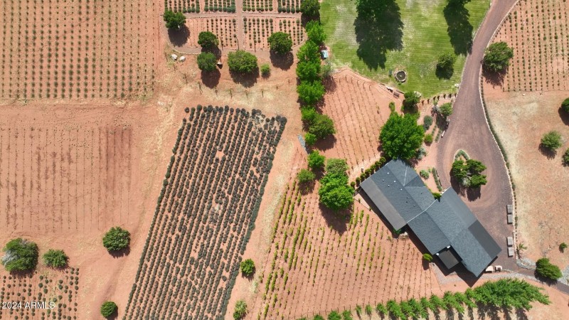 Lavender and Vines with Orchard House