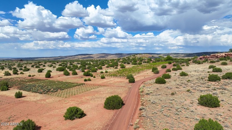 Lavender, Vines and Rolling Hills
