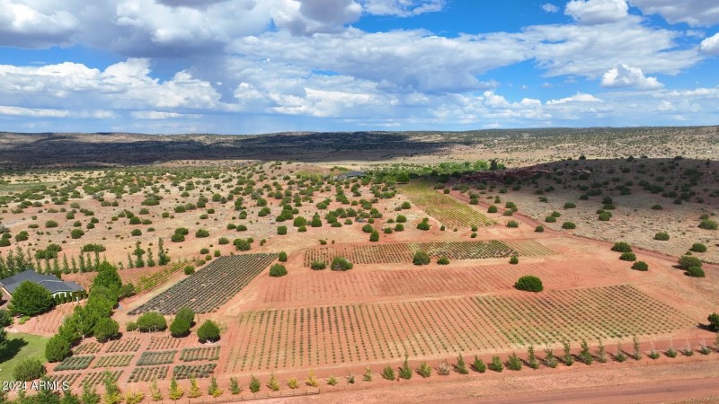 Lavender Farm and Vines