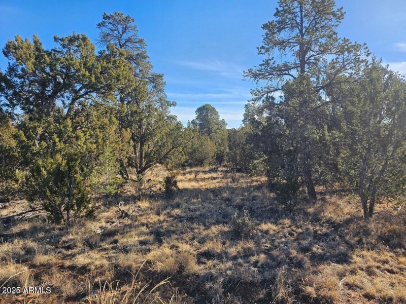 image000001 (10)