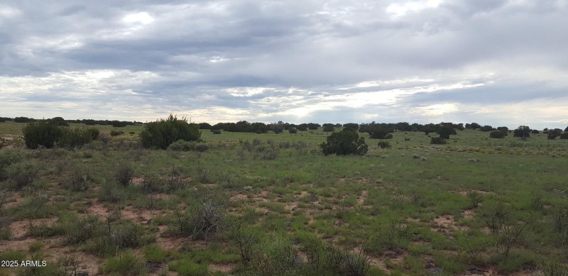 44 County Rd N6510