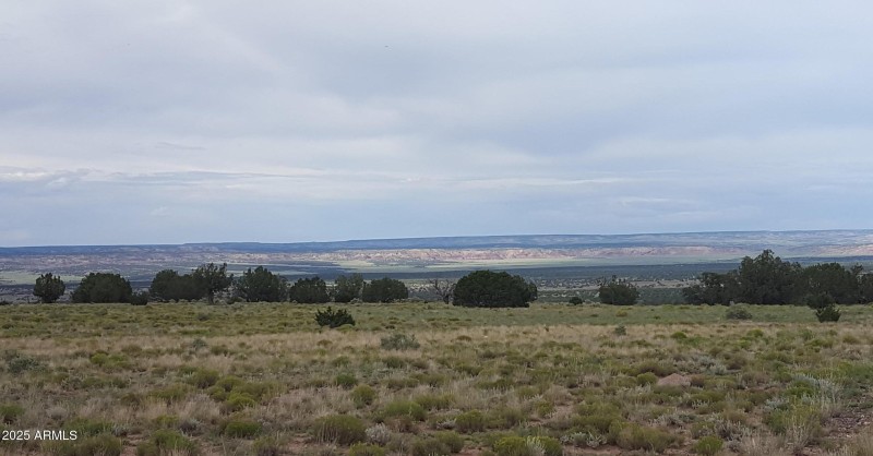 44 County Rd N6510