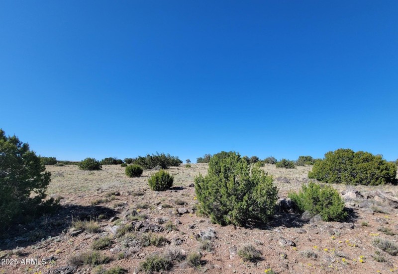 44 County Rd N6510