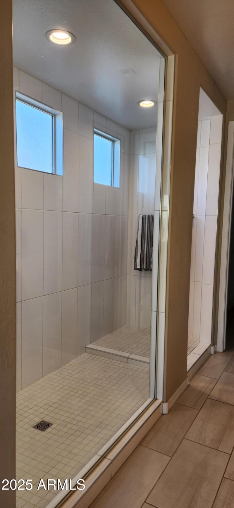 Primary bath shower