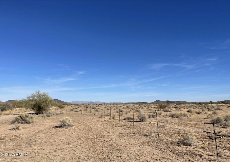 fence line 2