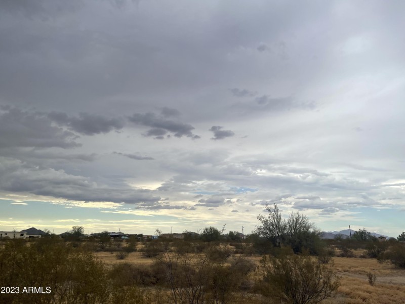 Raw Desert Land