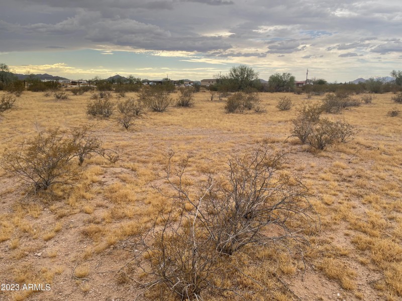 Flat Land to Build!