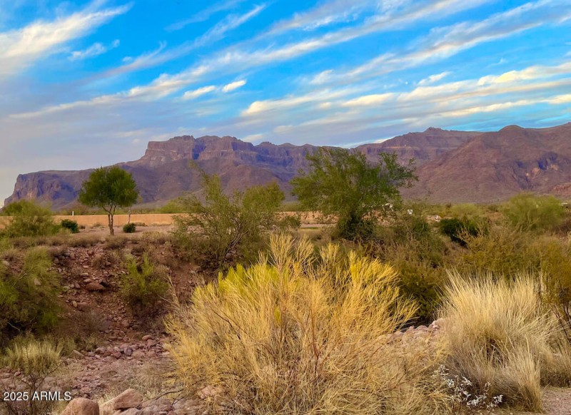 Canyon View 8