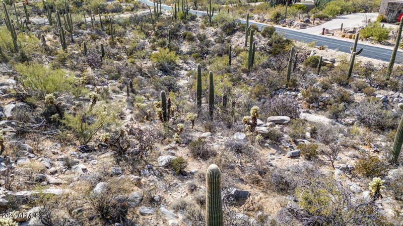DJI_20250124134156_0770_D123