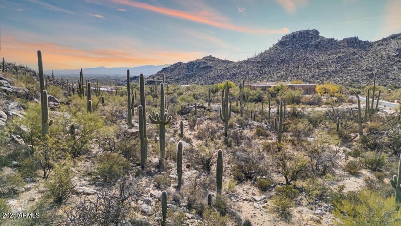 DJI_20250124134209_0775_D123-Edit