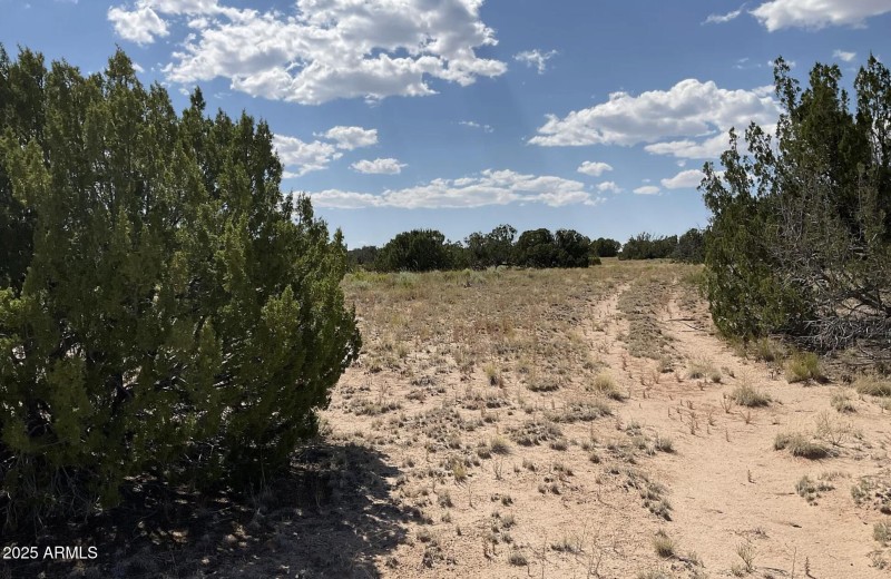 49 County Rd N7304
