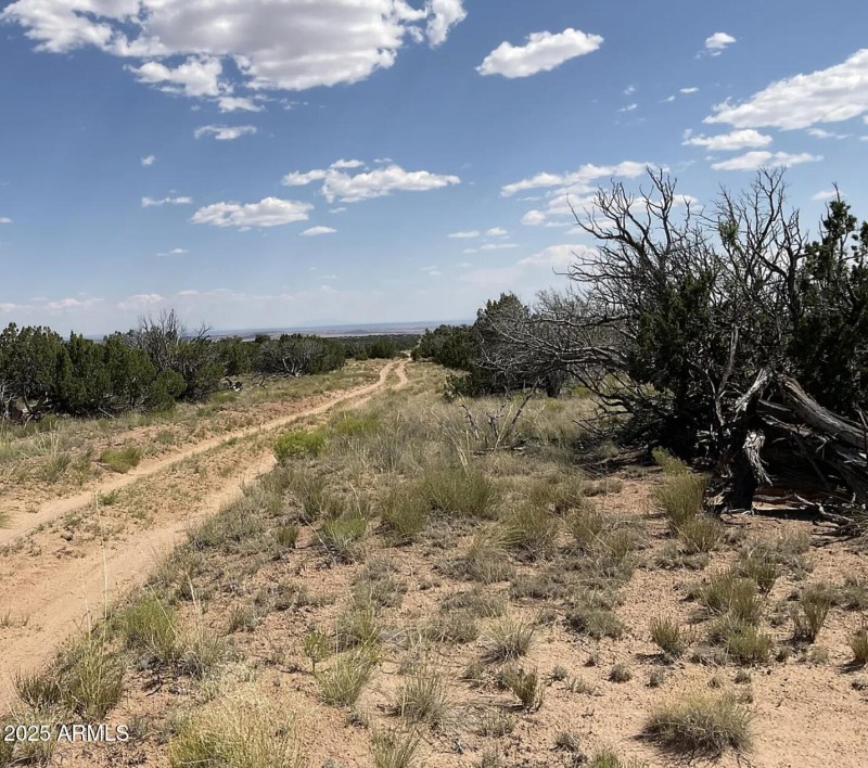 49 County Rd N7304