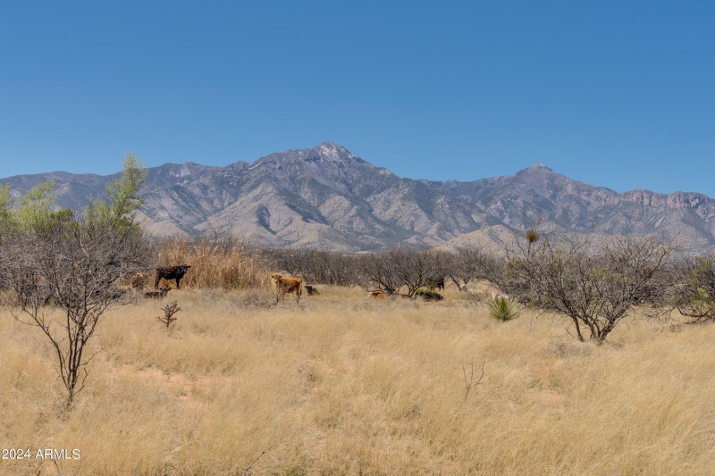 38 Acres 3 Canyons Blvd
