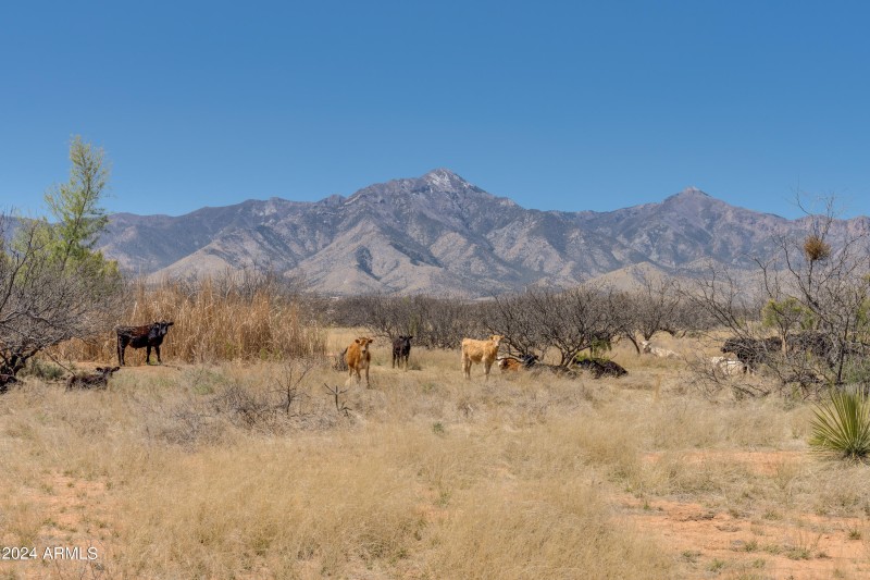 38 Acres 3 Canyons Blvd