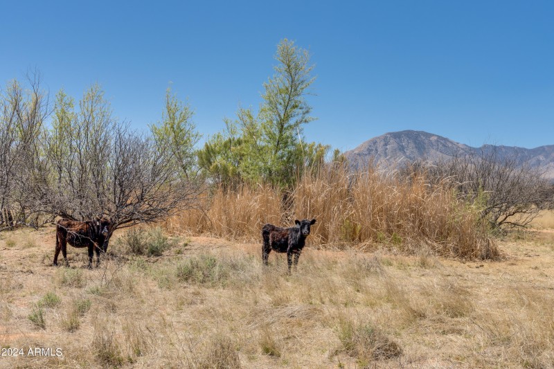 38 Acres 3 Canyons Blvd