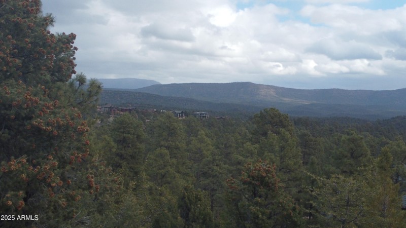 DJI_0010
