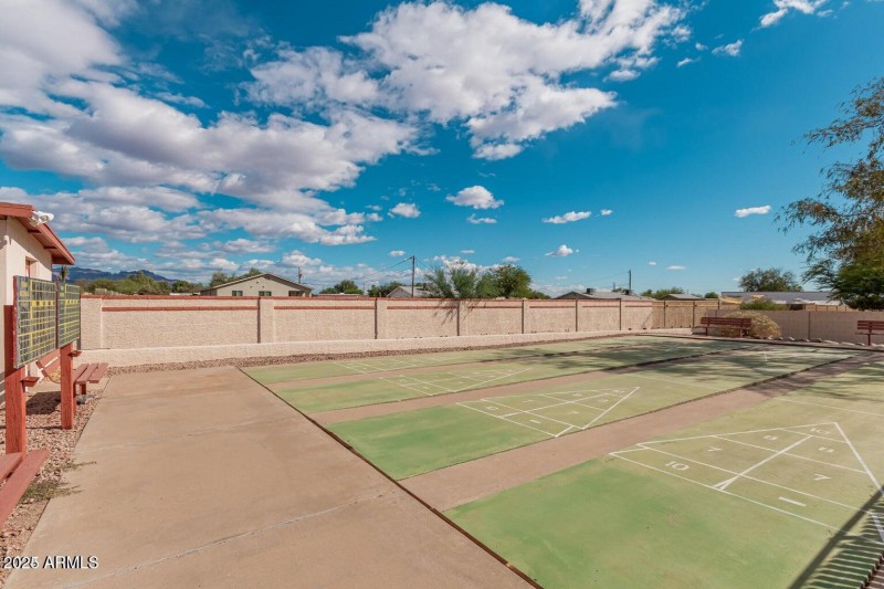 Shuffleboard