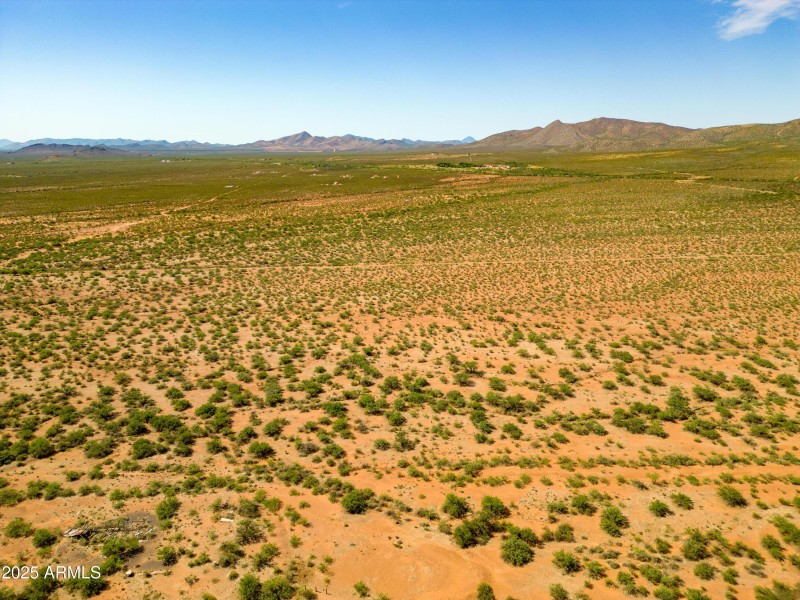 DJI_0871