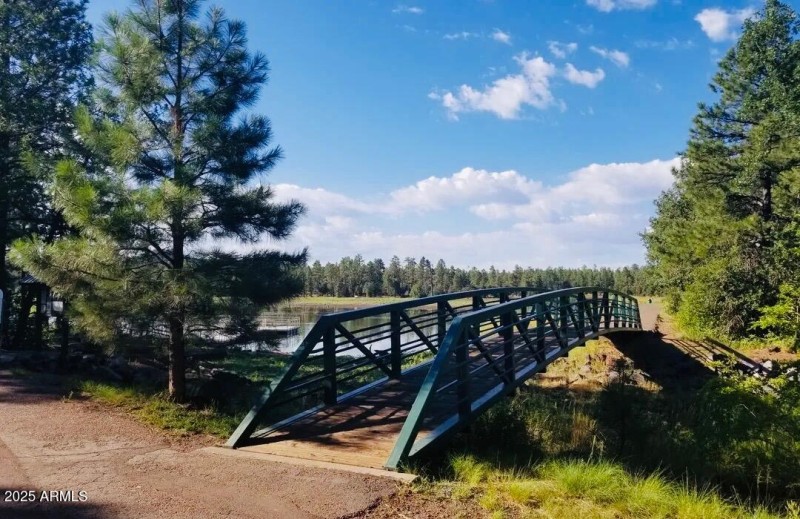 Pinetop 2