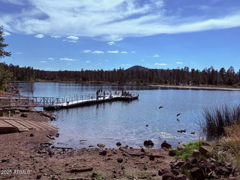 Pinetop 5
