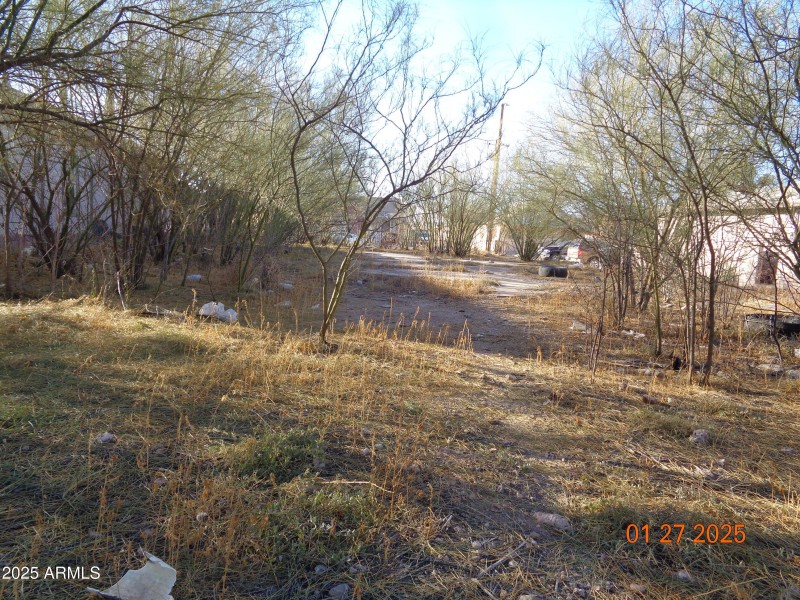 DSC04715