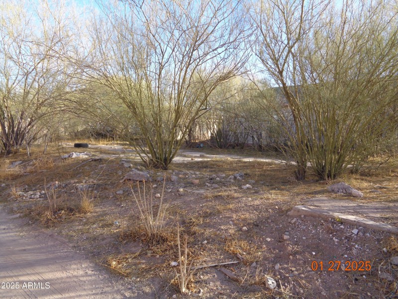 DSC04716
